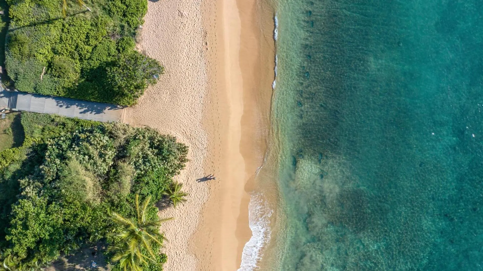 Apartment Kbm Resorts Free Car Mahana Mah-301 Gorgeous Ocean Front Kaanapali United States
